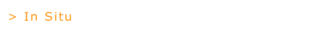> In Situ